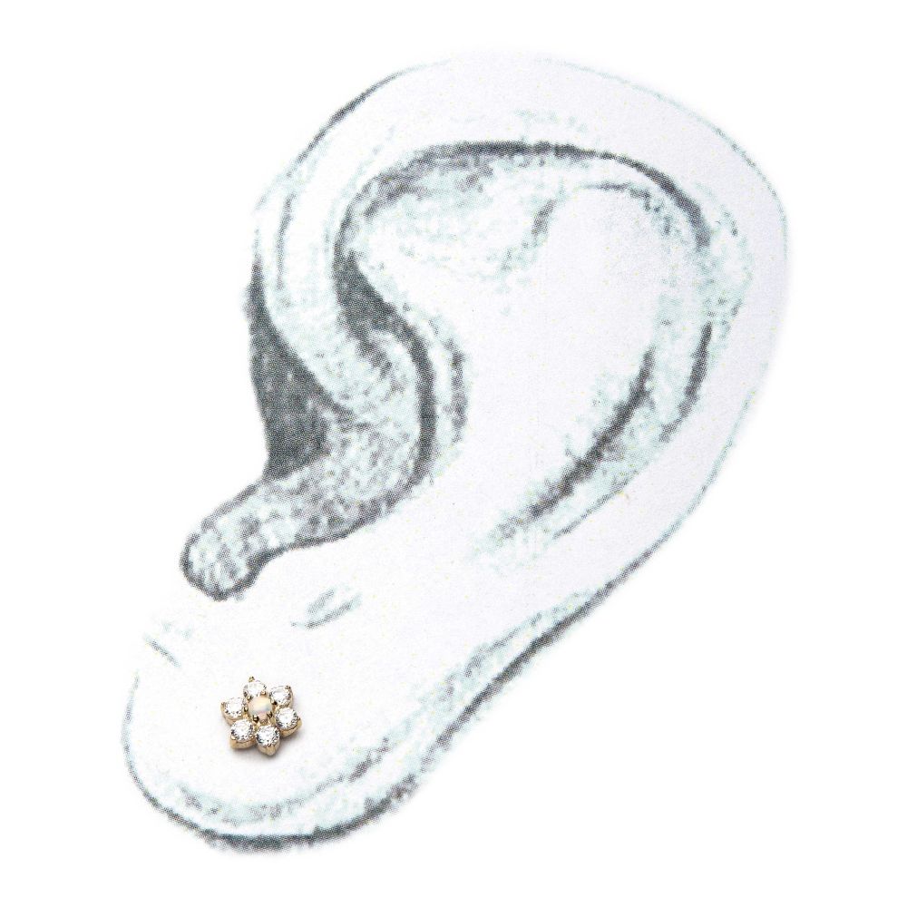 14kt Yellow Gold Threadless 6-CZ Clear Gems and Synthetic Opal Top