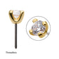 14Kt-Gold Threadless with Birthstone Prong Set Top