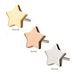 14Kt Gold Threadless Star Top