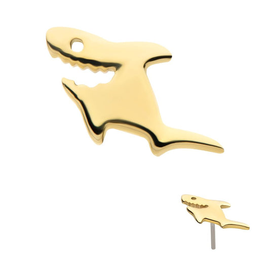 14Kt Yellow Gold Threadless Shark Top