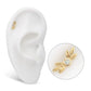 14Kt Yellow Gold Threadless Triple Leaf Edge with Prong Set Round White Opal Top