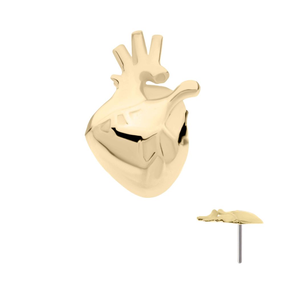 14Kt Gold Threadless Anatomical Heart Top