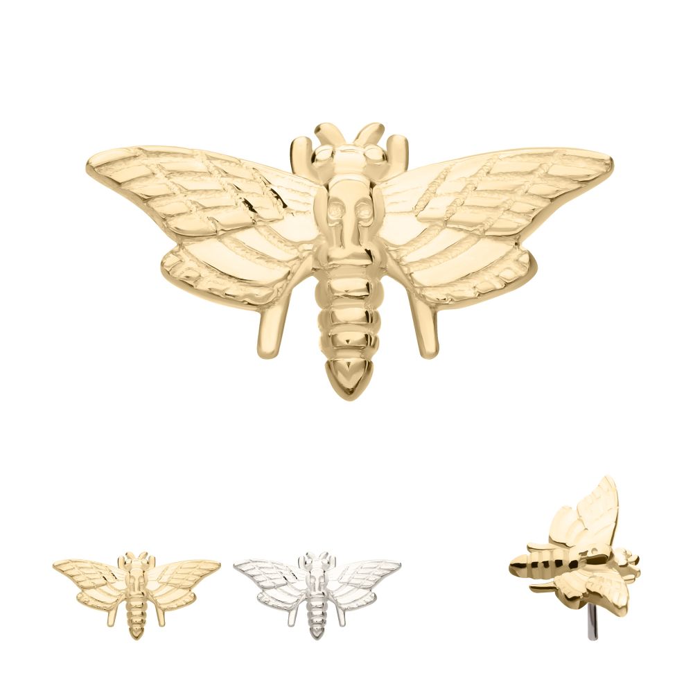 14Kt Gold Threadless Moth Top