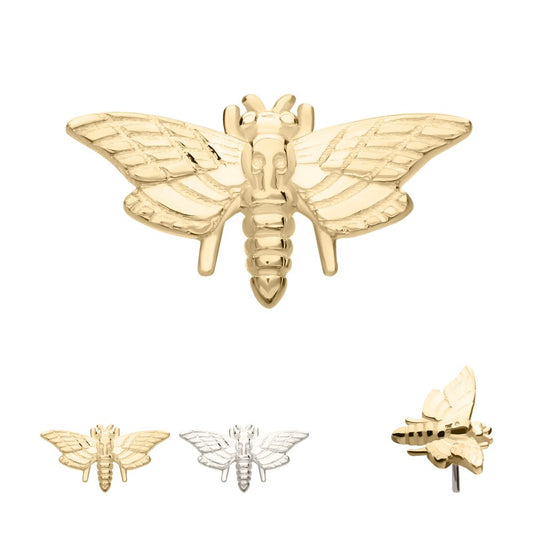 14Kt Gold Threadless Moth Top