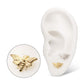 14Kt Gold Threadless Moth Top