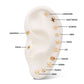 14Kt Yellow Gold Threadless Zodiac Sign Tops