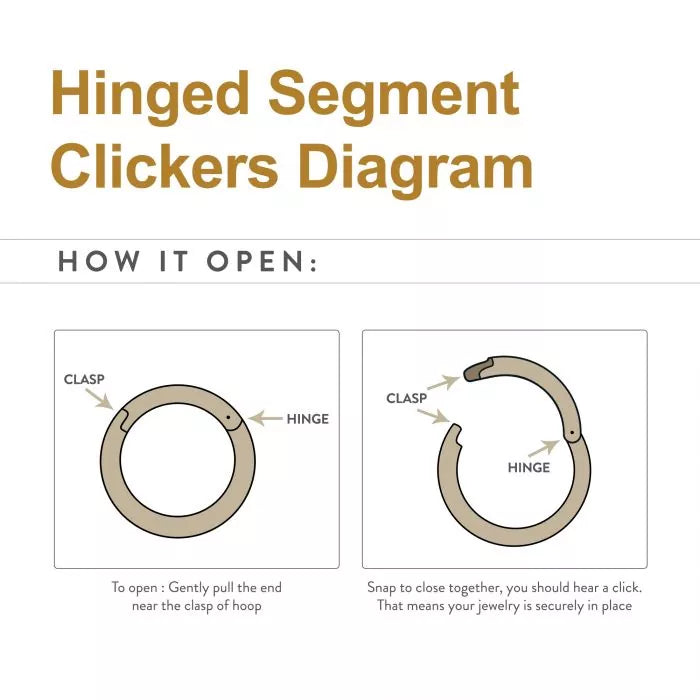 14Kt Yellow Gold Basic Hinged Segment Clicker