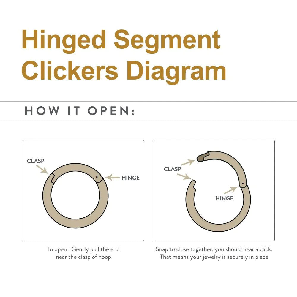 Titanium Hinged Segment Clicker