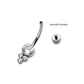 Titanium Internally Threaded with 3 Bezel Set Round Clear CZ Cluster Fixed Navel