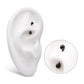 Black PVD Titanium-Internally Threaded Ball End Curved Barbell