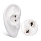 Black PVD Titanium Internally Threaded Spike End Curved Barbell