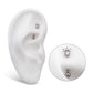 Titanium Internally Threaded with 4 Clear AAA CZ Fixed Top Curved Barbell