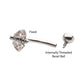 Titanium Internally Threaded Bee Fixed Top Curved Barbell with Prong Set Teardrop Gem