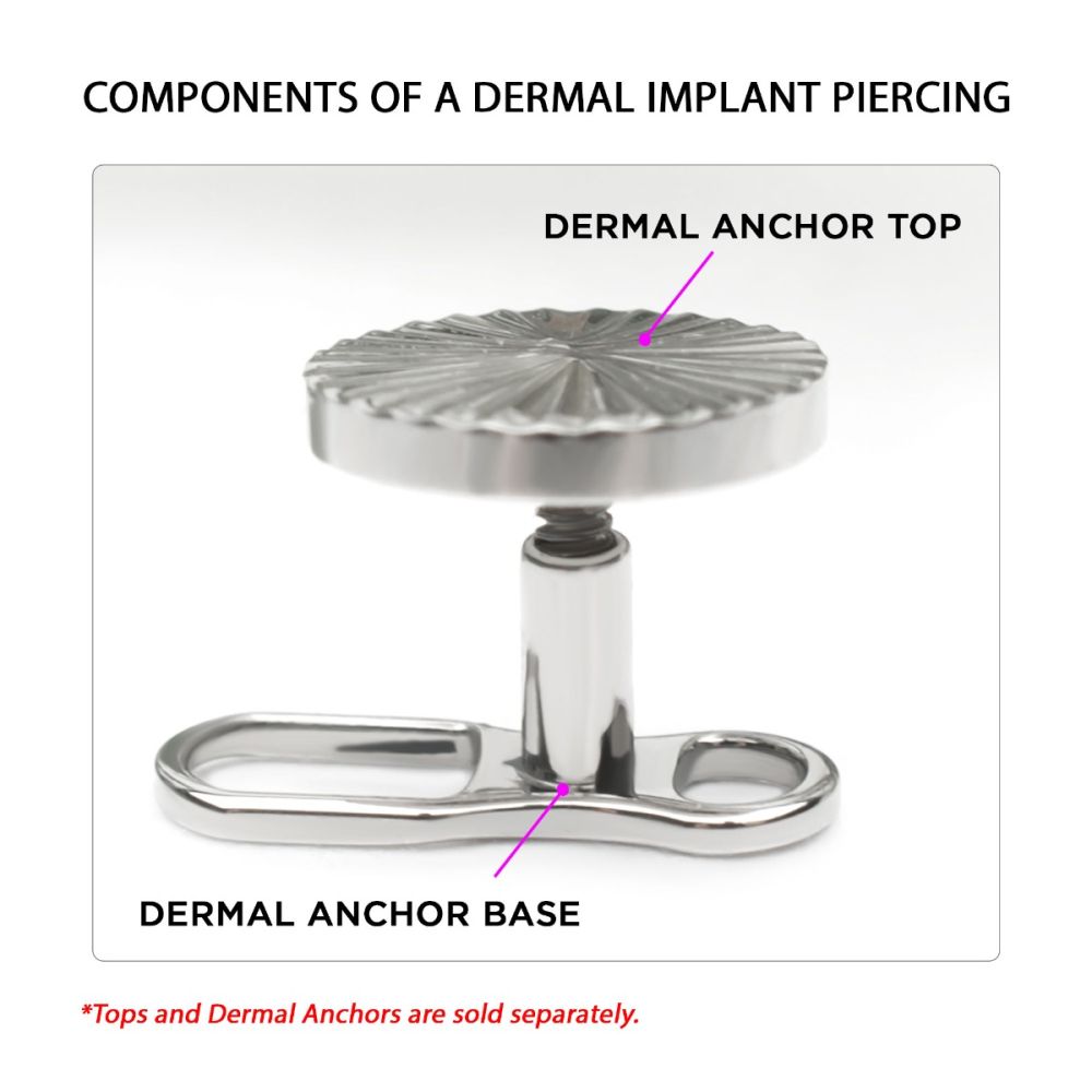 Titanium Internally Threaded with 2 Hole Dermal Anchor Base with 14g Threading