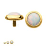 24Kt Gold PVD Titanium Internally Threaded Low Profile Bezel Set Synthetic Opal Dermal Top