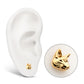 24Kt Gold PVD Titanium Threadless Low Profile 3D Cat's Head Top