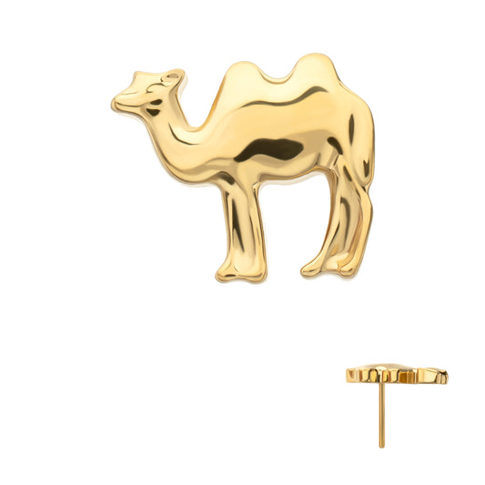 24Kt Gold PVD Titanium Threadless Low Profile 3D Camel Top