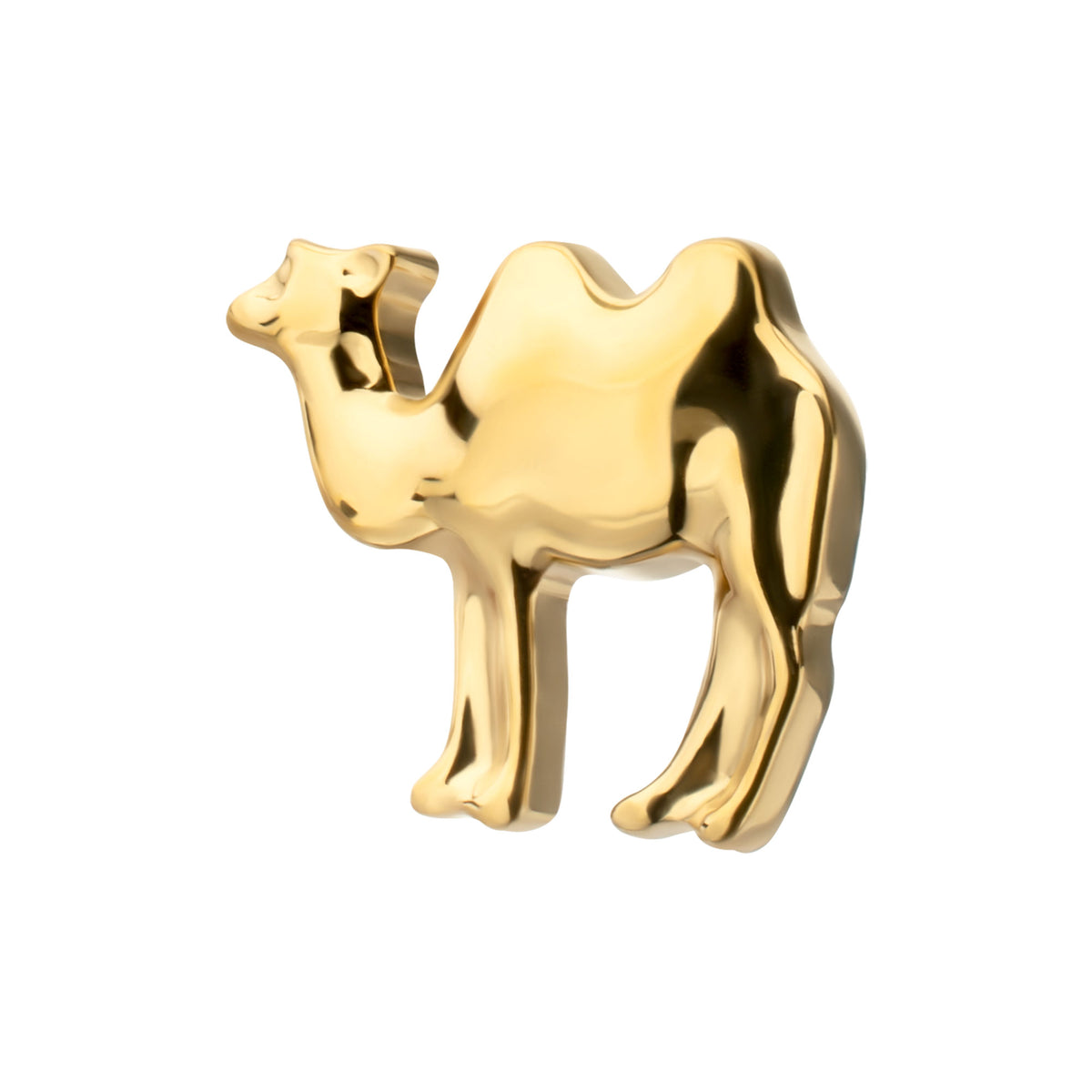 24Kt Gold PVD Titanium Threadless Low Profile 3D Camel Top