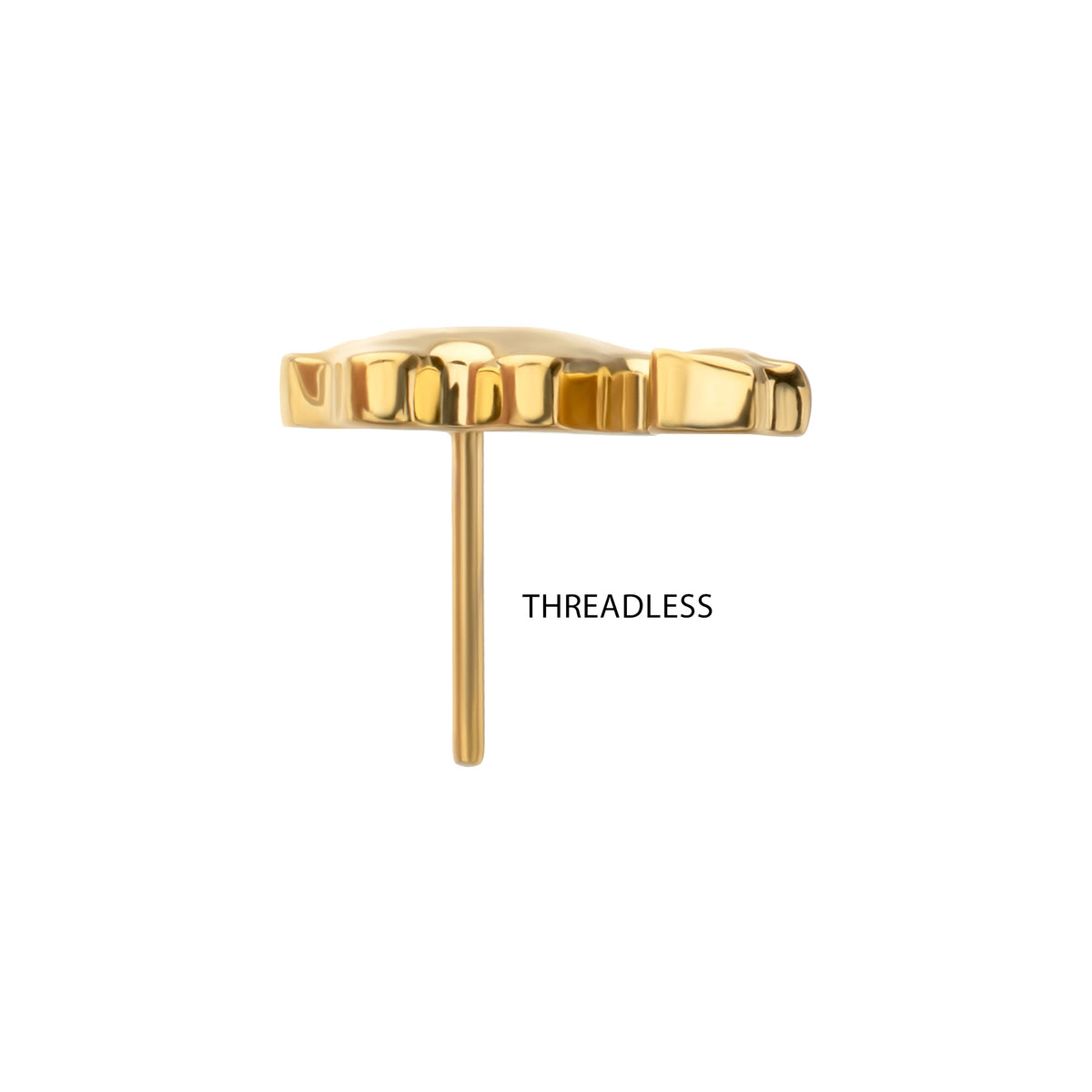 24Kt Gold PVD Titanium Threadless Low Profile 3D Camel Top
