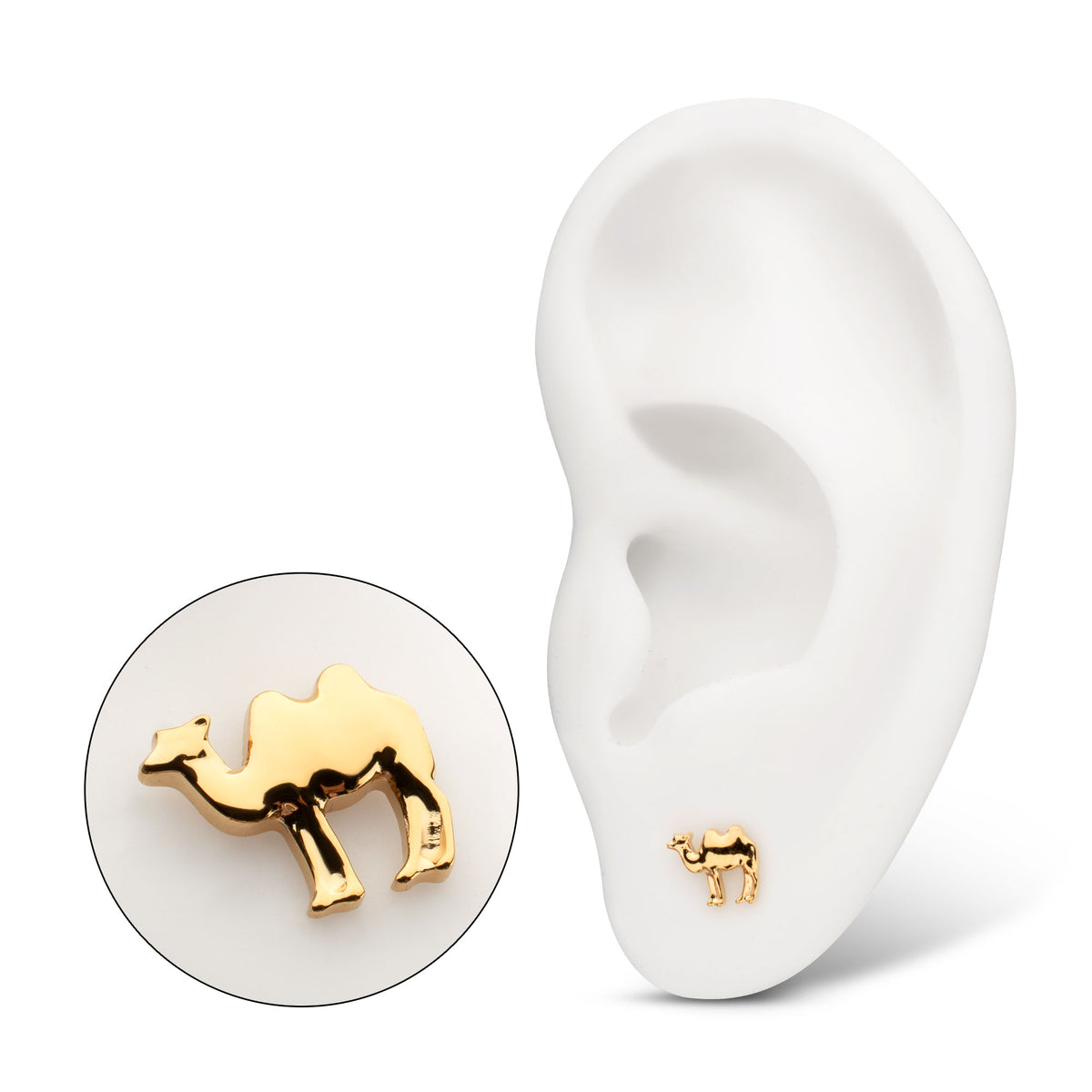 24Kt Gold PVD Titanium Threadless Low Profile 3D Camel Top