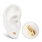 24Kt Gold PVD Titanium Threadless Low Profile 3D Fishbone Top