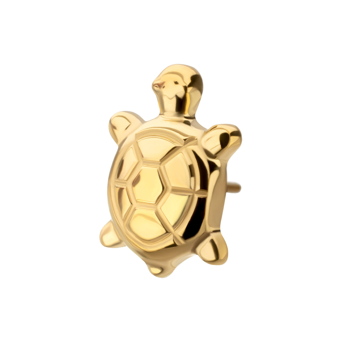 24Kt Gold PVD Titanium Threadless Low Profile 3D Corrugated Land Turtle Top