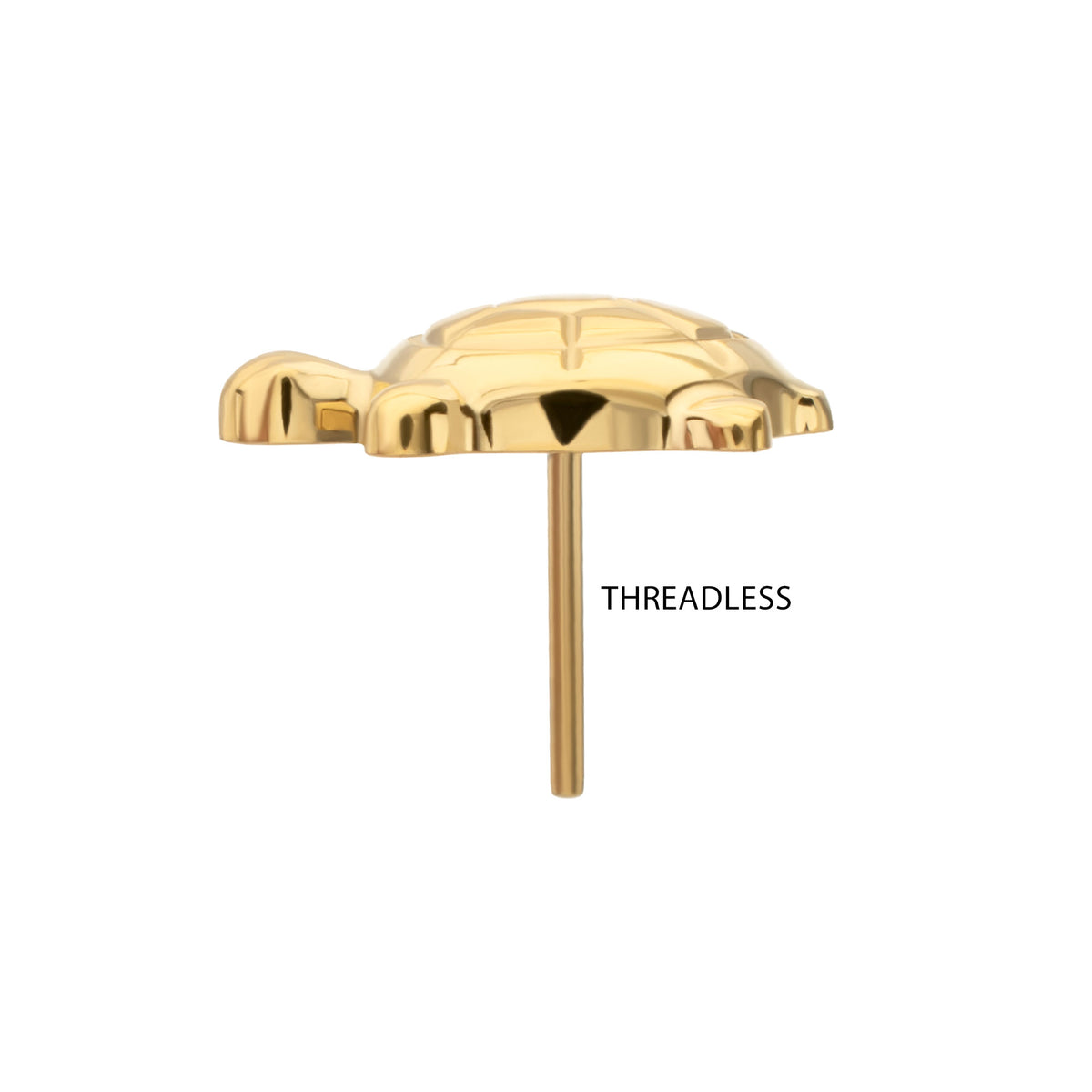 24Kt Gold PVD Titanium Threadless Low Profile 3D Corrugated Land Turtle Top