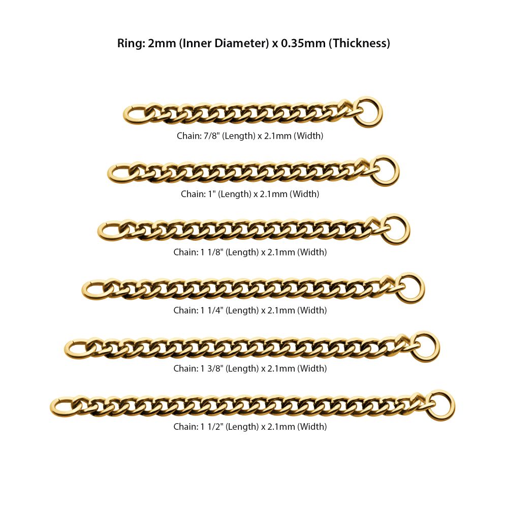 24Kt Gold PVD Titanium 2.1mm Curb Chain with 2 Rings