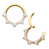 24Kt Gold PVD Titanium Prong Set 1mm and 2mm Cluster Gem Front Facing Hinged Segment Clicker