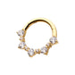 24Kt Gold PVD Titanium Prong Set 1mm and 2mm Cluster Gem Front Facing Hinged Segment Clicker