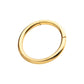 24KT Gold PVD Titanium Hinged Segment Clicker (12g to 8g)