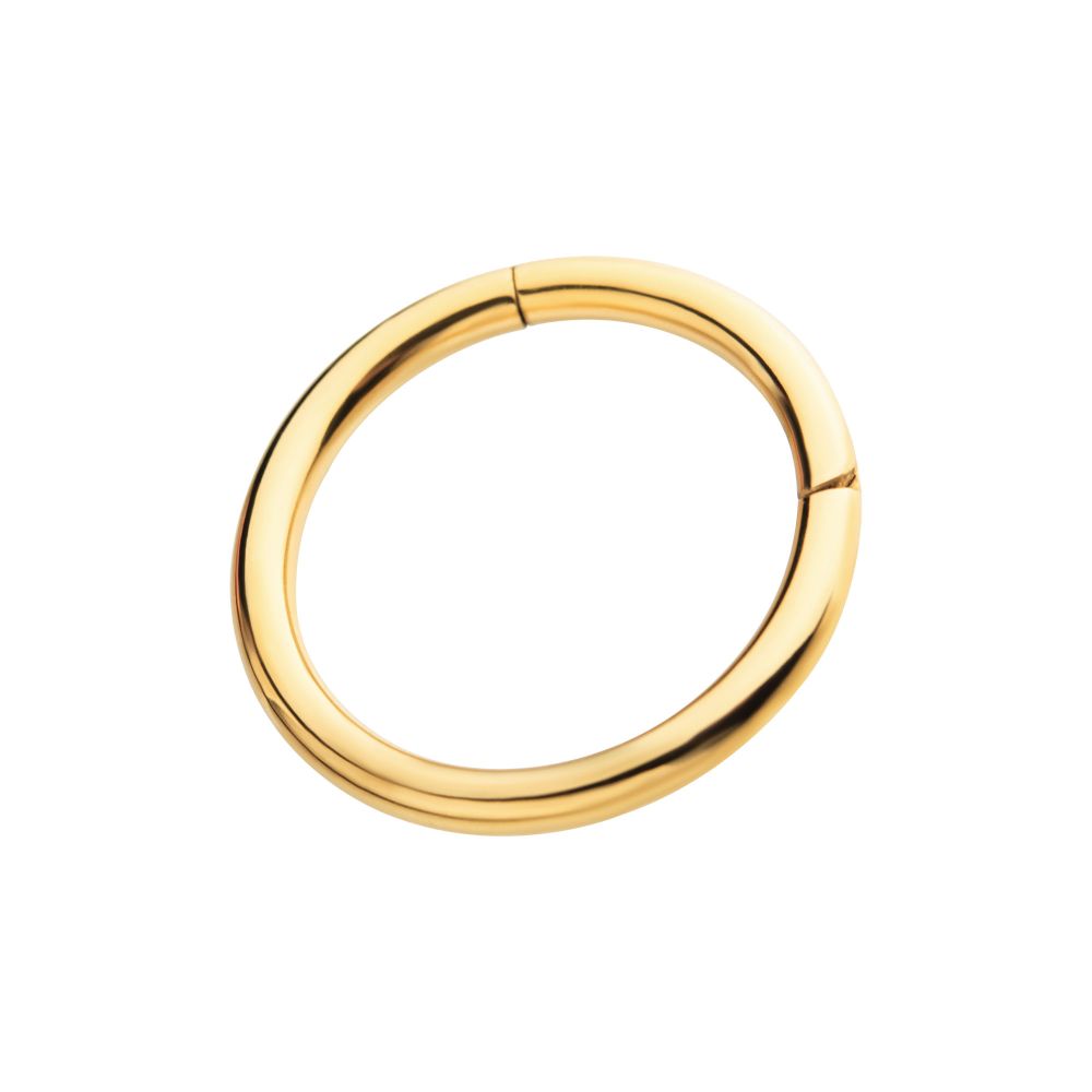 24KT Gold PVD Titanium Hinged Segment Clicker (12g to 8g)