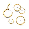 24KT Gold PVD Titanium Hinged Segment Clicker (20g to 14g)
