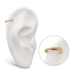 24Kt Gold PVD Titanium Double Hoop Side Facing Hinged Segment Clicker with CNC Set Round CZ