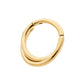 24Kt Gold PVD Titanium Double Hoop Side Facing Hinged Segment Clicker