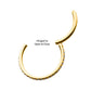 24KT Gold PVD Titanium CNC Set Clear CZ Eternity Side Facing Hinged Segment Clicker