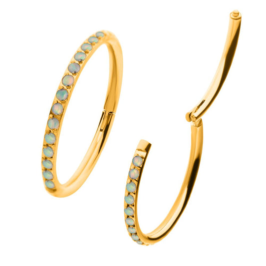 24KT Gold PVD Titanium CNC Set White Opal Eternity Side Facing Hinged Segment Clicker