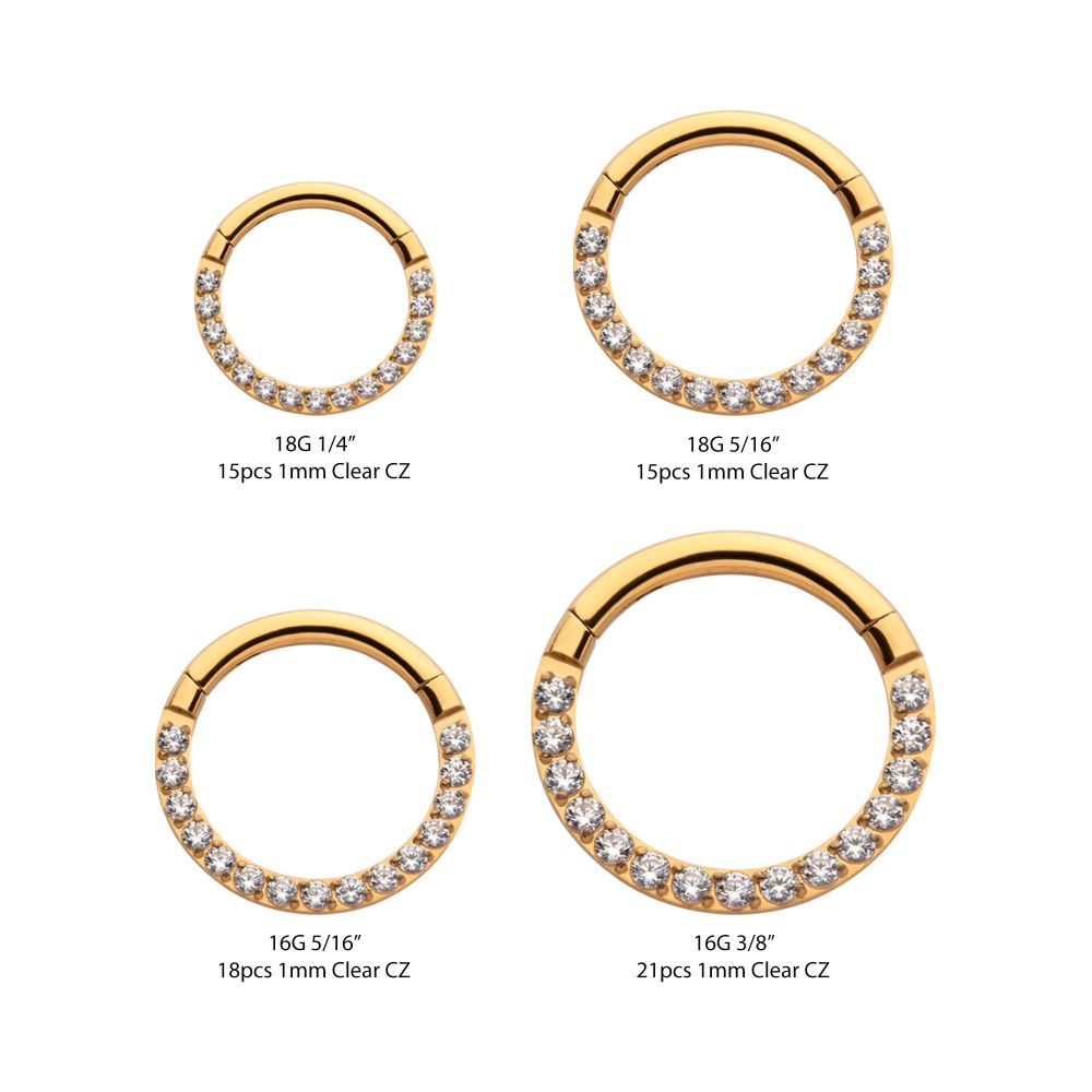 24KT Gold PVD Titanium CNC Set Clear CZ Eternity Front Facing Hinged Segment Clicker