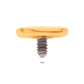 24Kt Gold PVD Titanium Internally Threaded Flat Disc Top