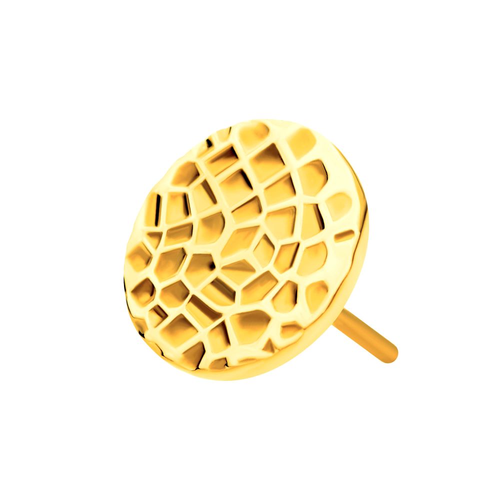 24Kt-Gold PVD Titanium Threadless Hammered Disk Top