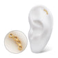 24Kt Gold PVD Titanium Threadless Low Profile Round Link Top