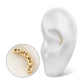 24Kt Gold PVD Titanium Threadless Low Profile Bar-Set Oval Link Top