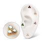 24Kt Gold PVD Titanium Threadless Trinity Prong Set Gem Top