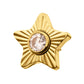 24Kt Gold PVD Titanium Threadless Corrugated Star with Bezel Gem Top