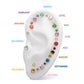 24Kt Gold PVD Titanium Threadless with Prong Set Birthstone Top