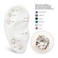 24KT Gold PVD Titanium Threadless with 4-Prong Set CZ Front Facing Top