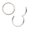 Platinum PVD Titanium Basic Hinged Segment Clicker