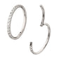 Platinum PVD Titanium 1mm CNC Set Full Clear CZ Eternity Gem Side Facing Hinged Segment Clicker