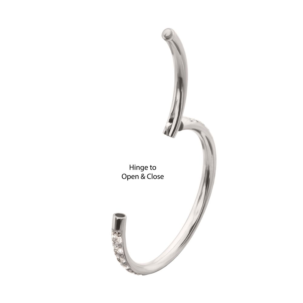 Platinum PVD Titanium 1mm CNC Set Full Clear CZ Eternity Gem Side Facing Hinged Segment Clicker