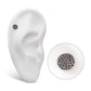Black PVD Titanium Threadless Hammered Disk Top